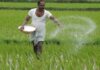 shortage of fertilizers,