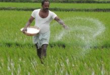 shortage of fertilizers,