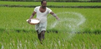 shortage of fertilizers,