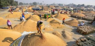 Paddy Procurement