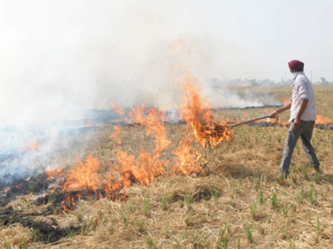 Stubble Burning