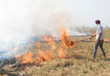 Stubble Burning