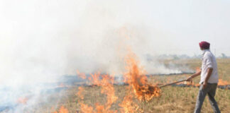 Stubble Burning