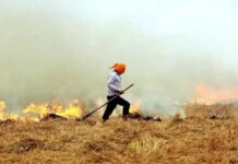 Stubble Burning