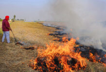 Stubble Burning