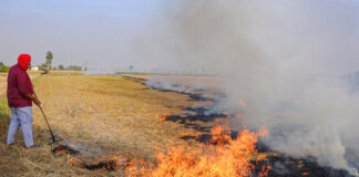 Stubble Burning