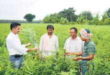 Agricultural Scientists