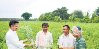 Agricultural Scientists