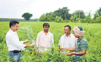 Agricultural Scientists