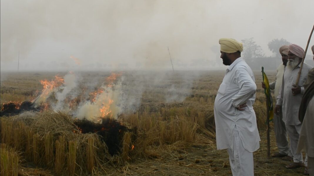 Stubble Burning