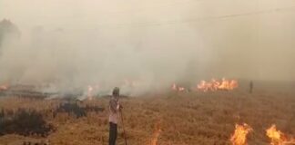 Stubble Burning