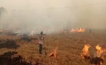 अगले साल बढ़ सकती हैं पराली जलाने की घटनाएं Stubble Burning