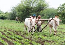 Farmer Loan Waiver