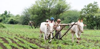 Farmer Loan Waiver