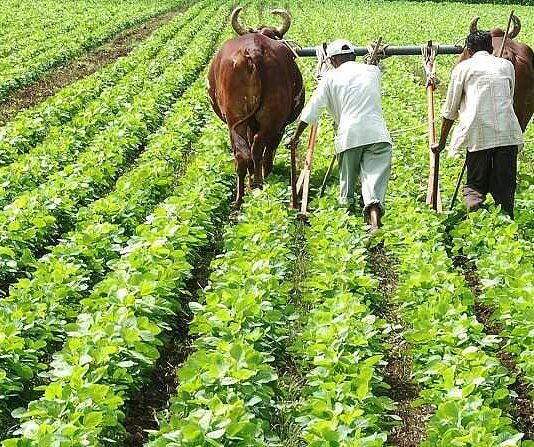 Haryana Government Minister Kisan Samman Yojana
