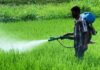 Centre Government Pesticides Bans