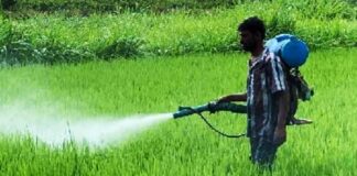 Centre Government Pesticides Bans