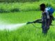 Centre Government Pesticides Bans