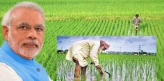 PM Farmer Scheme