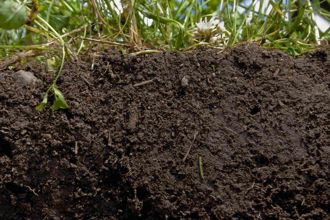 Chemical Fertilizer Farms Barren