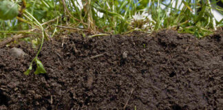 Chemical Fertilizer Farms Barren