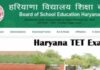 Haryana TET exam