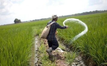 सरकार खाद पर सब्सिडी की बढ़ाएगी रकम, जानिए क्या है पूरा प्लान Agriculture Fertilizer