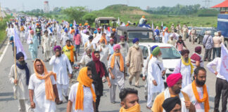 Farmer Punjab Assembly Election