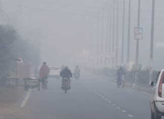Haryana Fog & Cold