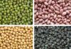 Moong, Urad, Soyabean, Groundnut