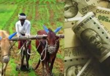 Farmer Agriculture Loan