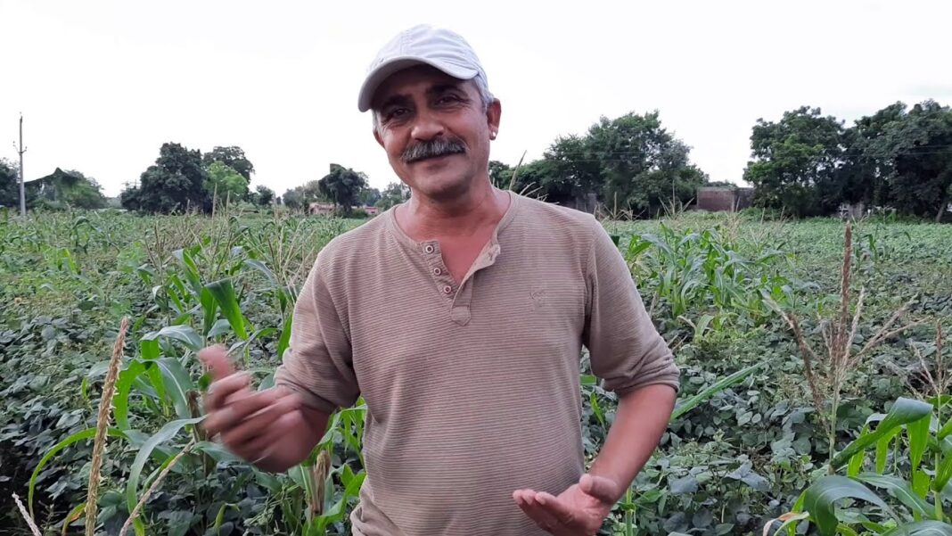 Farmer Avinash Singh Dang Farmer Avinash Singh Dang
