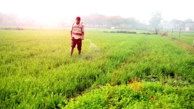 Agriculture Budget Agriculture Budget