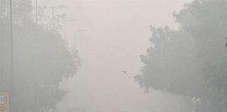 Haryana Fog