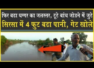 घग्गर में फिर आया पानी| 4 फुट पानी बढ़ा| टूटे बांध फिर से जोड़े| Sirsa| Ghaggar| Alert| Rania| Outtu|