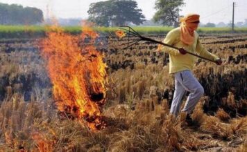 हरियाणा में 714 स्थानों पर जली पराली, पंजाब से ढाई गुना कम मामले, 10 शहरों की बिगड़ी आबोहवा