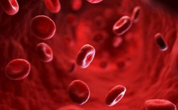 आंखों का ये लक्षण बता देगा शरीर में सूख गया Blood, जल्दी खाएं ये 10 चीजें, नसों में भरेगा खून ही खून