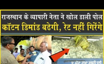 संगरिया के व्यापारी नेता ने खोली पोल| कॉटन के रेट नहीं गिरेंगे| Rajasthan Election 2023| Sangria|