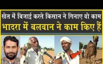 किसान बोला: बलवान ने काम किये| मुआवजा दिलाया| भादरा के लिए वो ठीक| Rajasthan Election 2023| Bhadra|