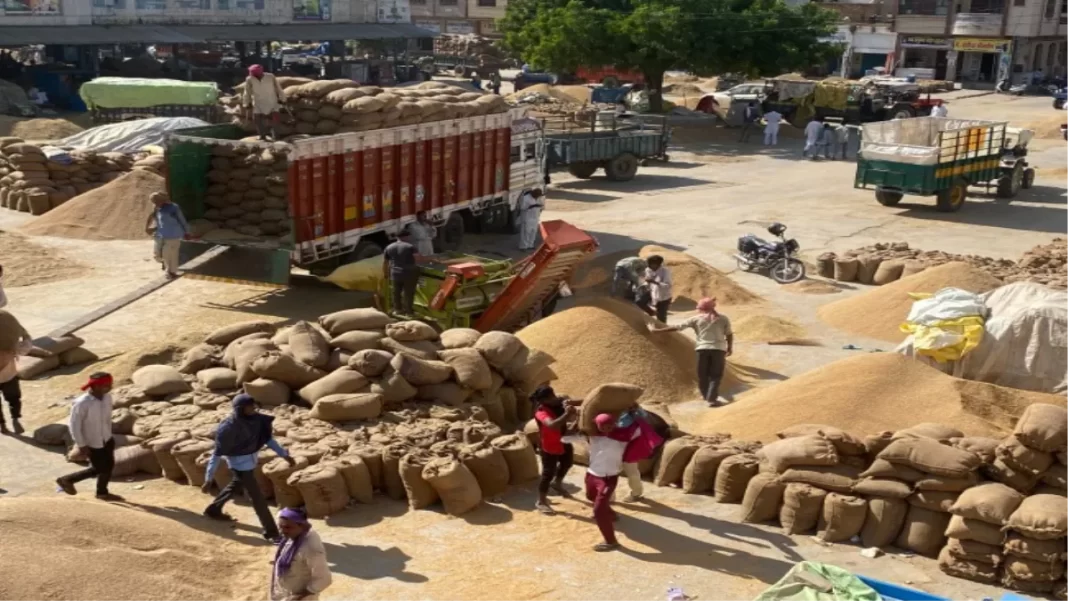 09_10_2022-rice_mandi_23128648