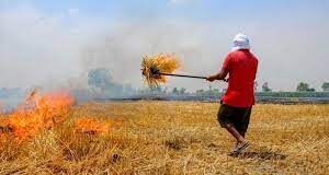 पराली न जलाने में कैथल ने प्रदेश में पाया प्रथम स्थान