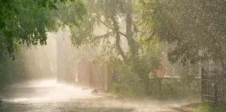 हरियाणा में फिर बदलेगा मौसम