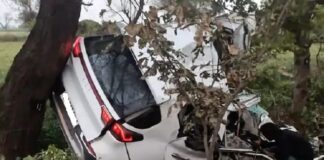 नीलगाय को बचाने के चक्कर में पेड़ से टकराई कार