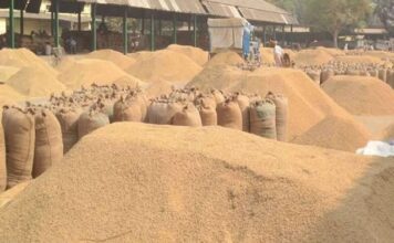 सिर्फ गेहूं-सरसों का होगा उठान, CM सैनी ने दिए गिरदावरी के आदेश