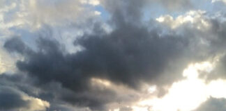 पंजाब में गर्मी से राहत जारी, गिरावट के साथ 39.5 डिग्री पहुंचा पारा,