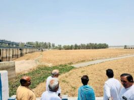 नवनिर्वाचित सांसद कुमारी सैलजा ने सिरसा क्षेत्र में घग्घर नदी में बढ़ते प्रदूषण पर जताई चिंता