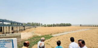 नवनिर्वाचित सांसद कुमारी सैलजा ने सिरसा क्षेत्र में घग्घर नदी में बढ़ते प्रदूषण पर जताई चिंता