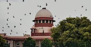अगले माह सुप्रीम कोर्ट में अपील करेगी हरियाणा सरकार