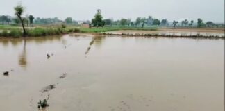 सिर्फ फतेहाबाद, महेंद्रगढ़ और नूंह में मानसून मेहरबान,