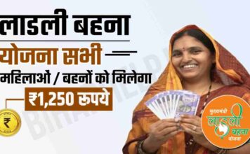 लाड़ली बहना योजना क्या है? खाते में कैसे मिलते हैं हर महीने 1250 रुपए, खाते में कैसे मिलते हैं हर महीने 1250 रुपए,